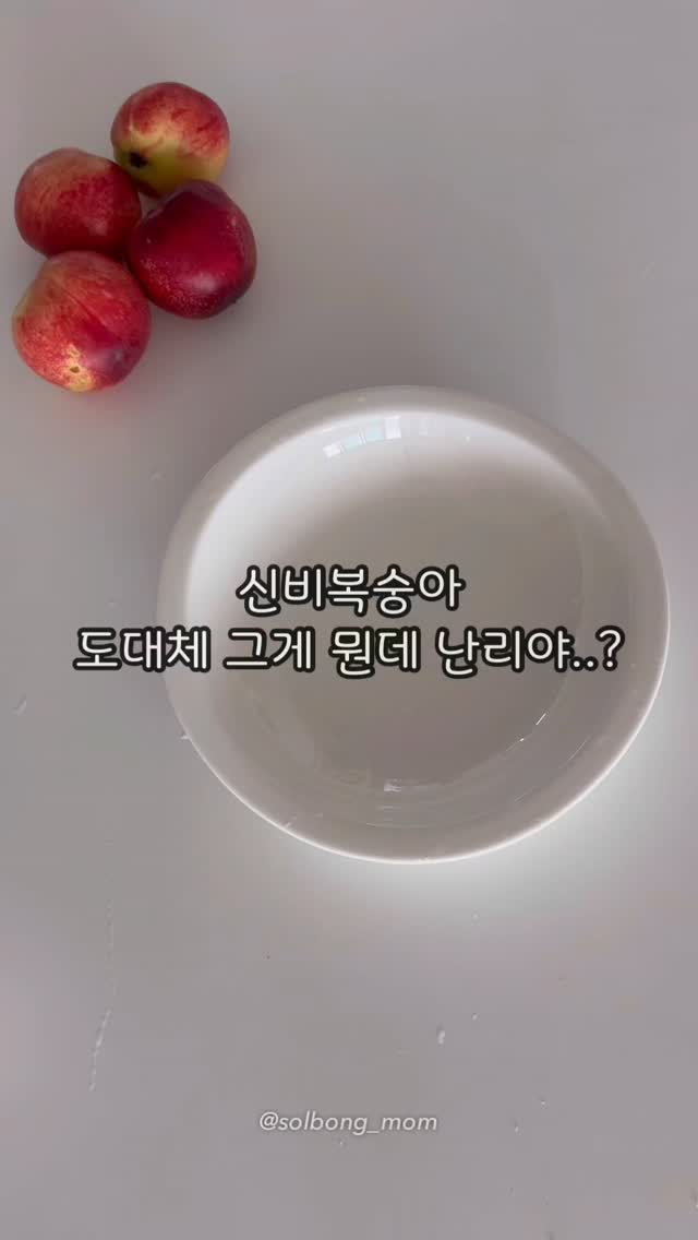 종이비누