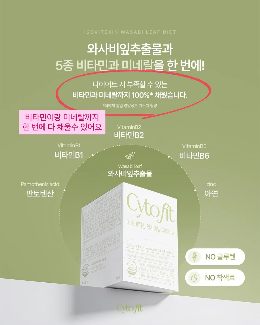 반려돌 만들기 키트 11