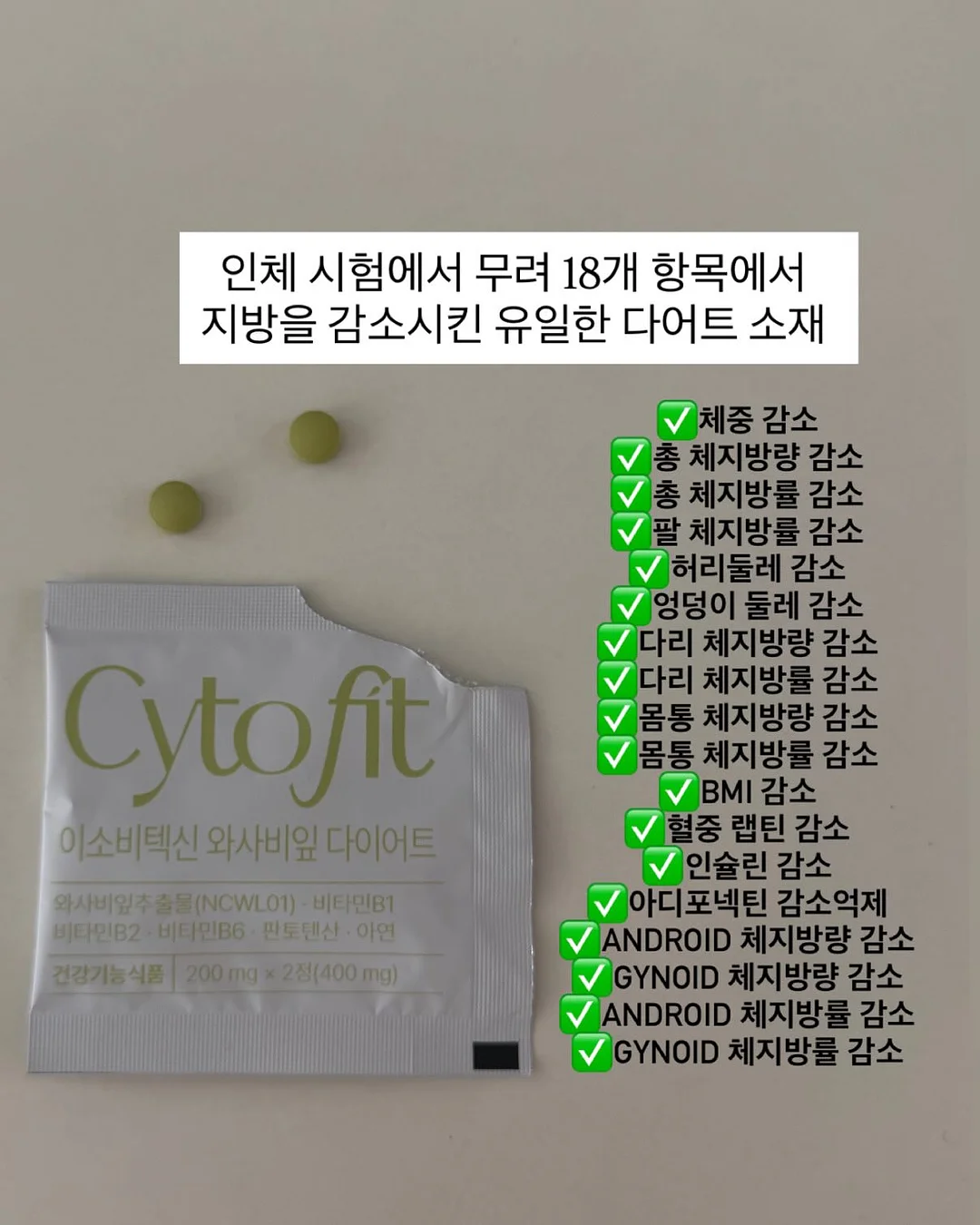 반려돌 만들기 키트 6