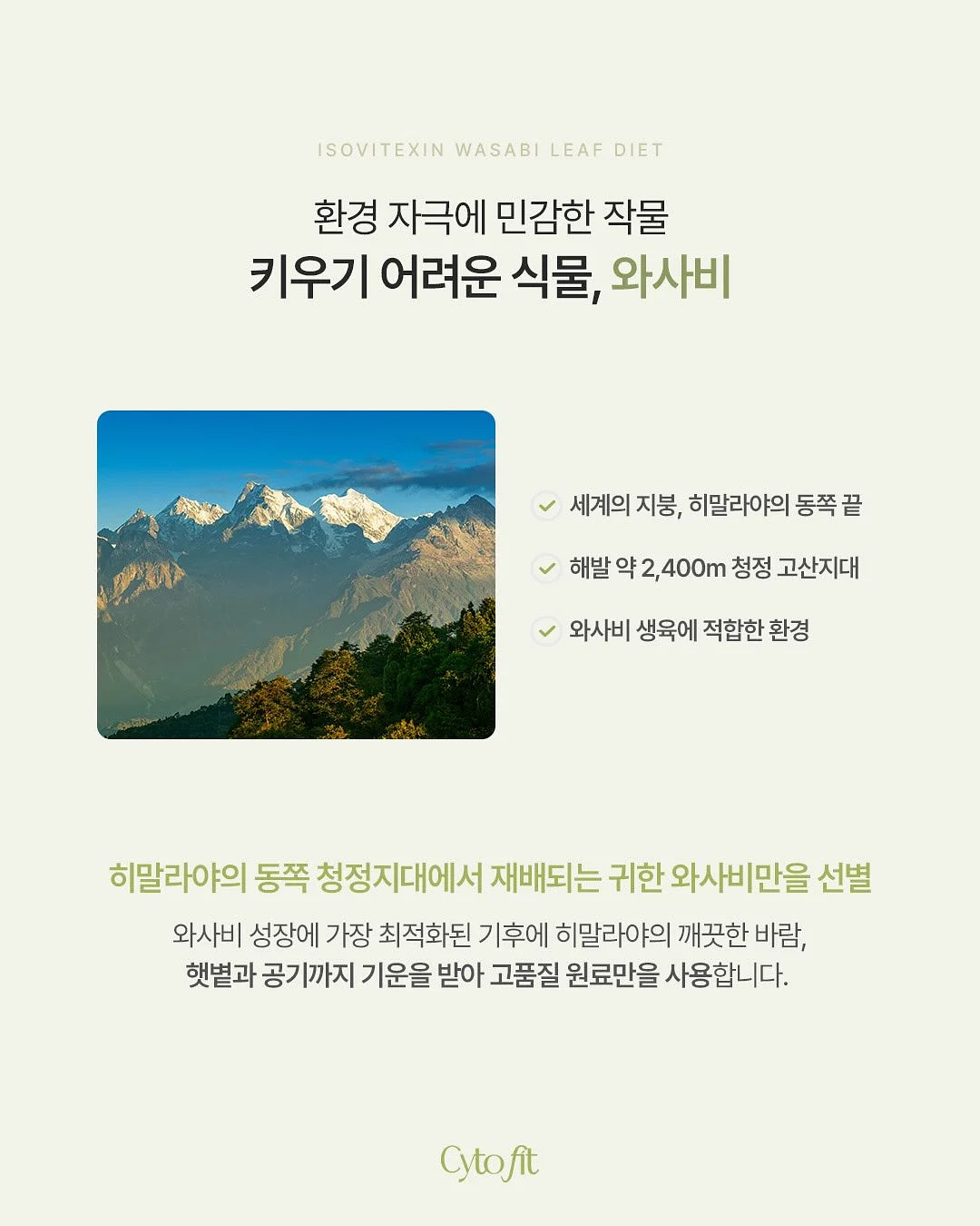 반려돌 만들기 키트 8