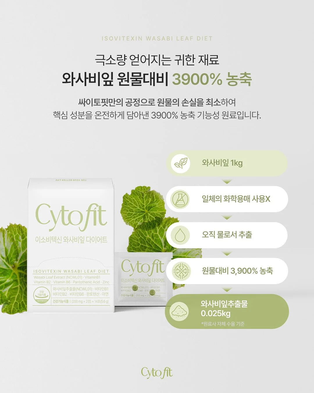 반려돌 만들기 키트 9