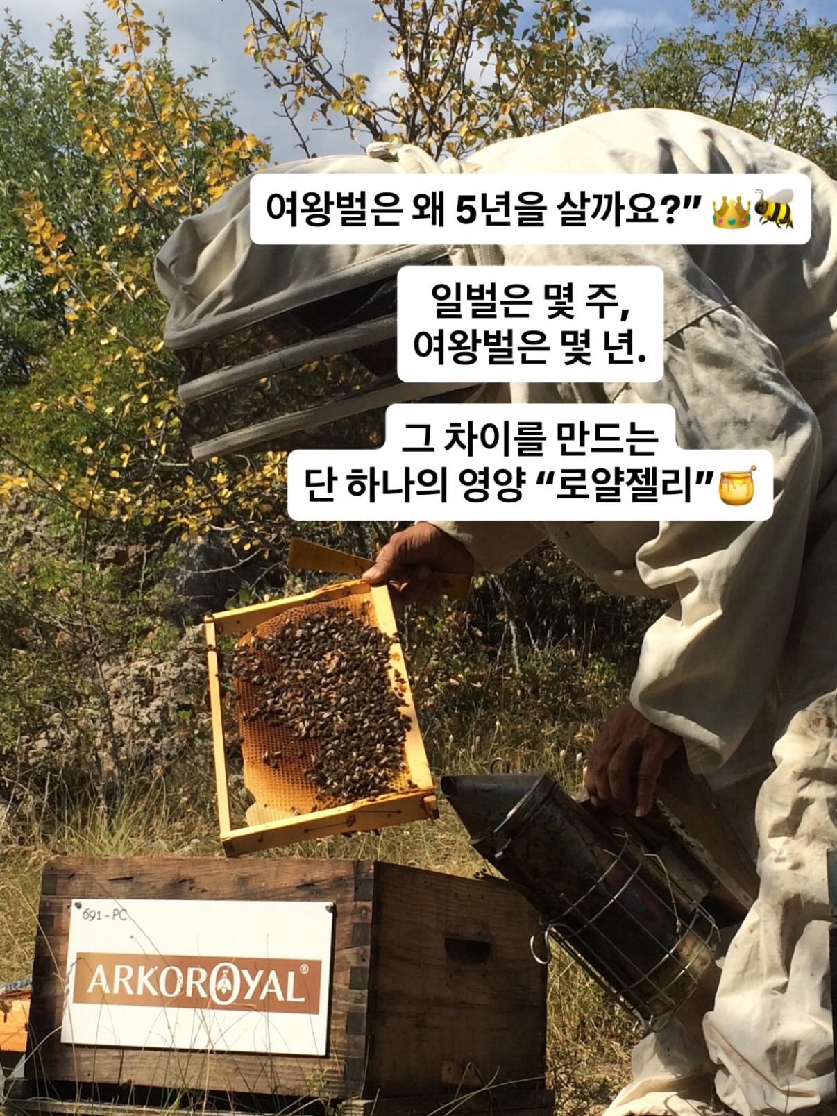 김미소진 작가님 체험존 13