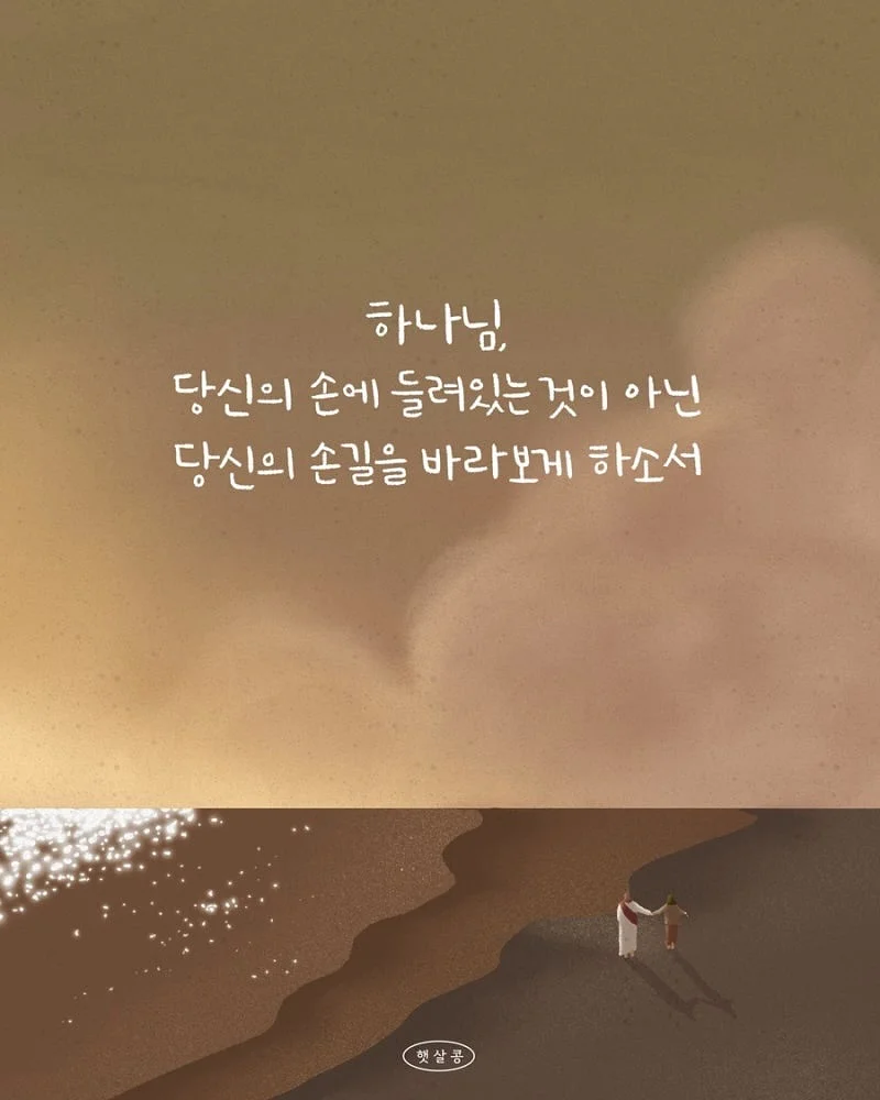 결혼식 대절 버스 도시락 1