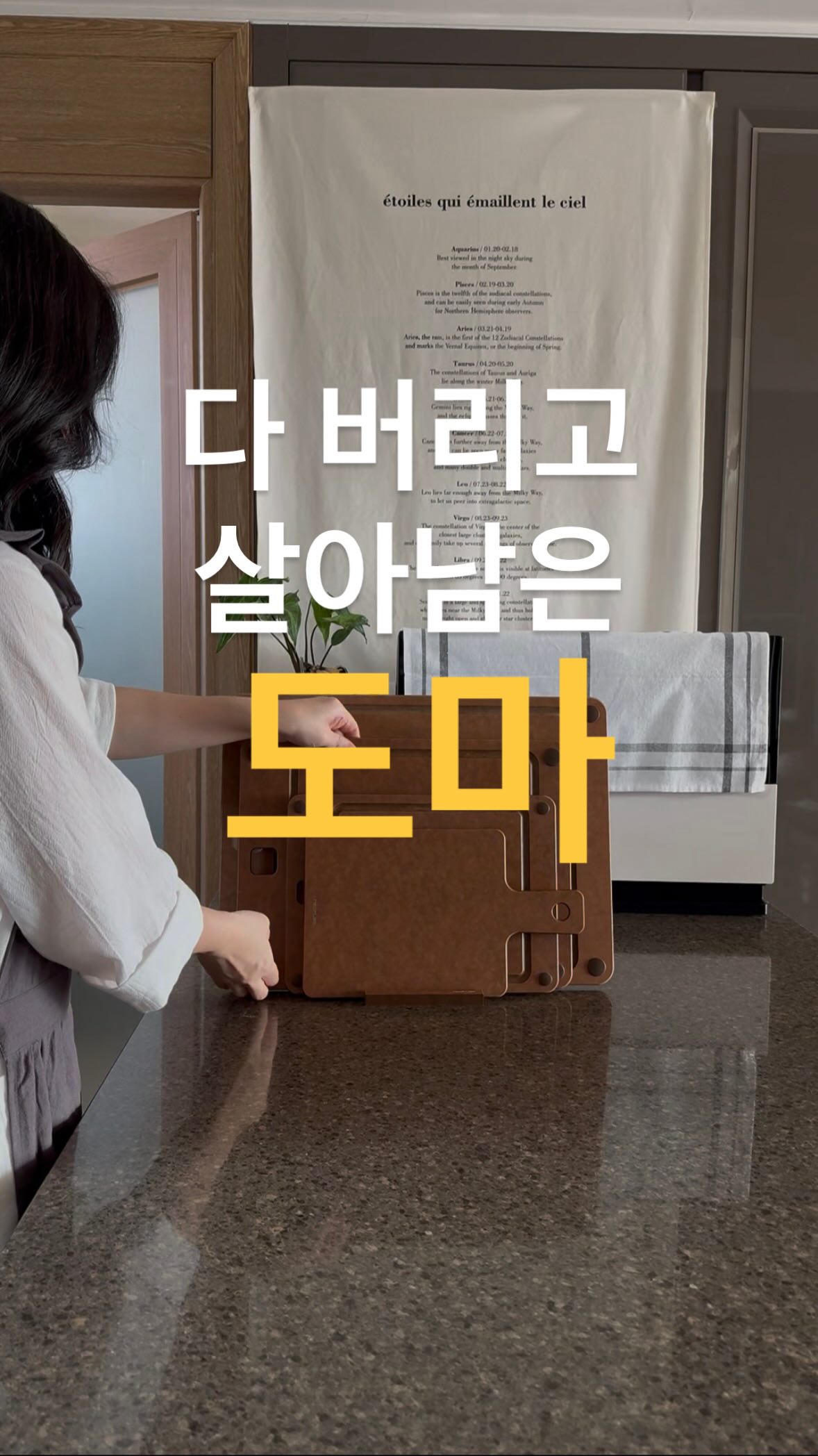 데이케어