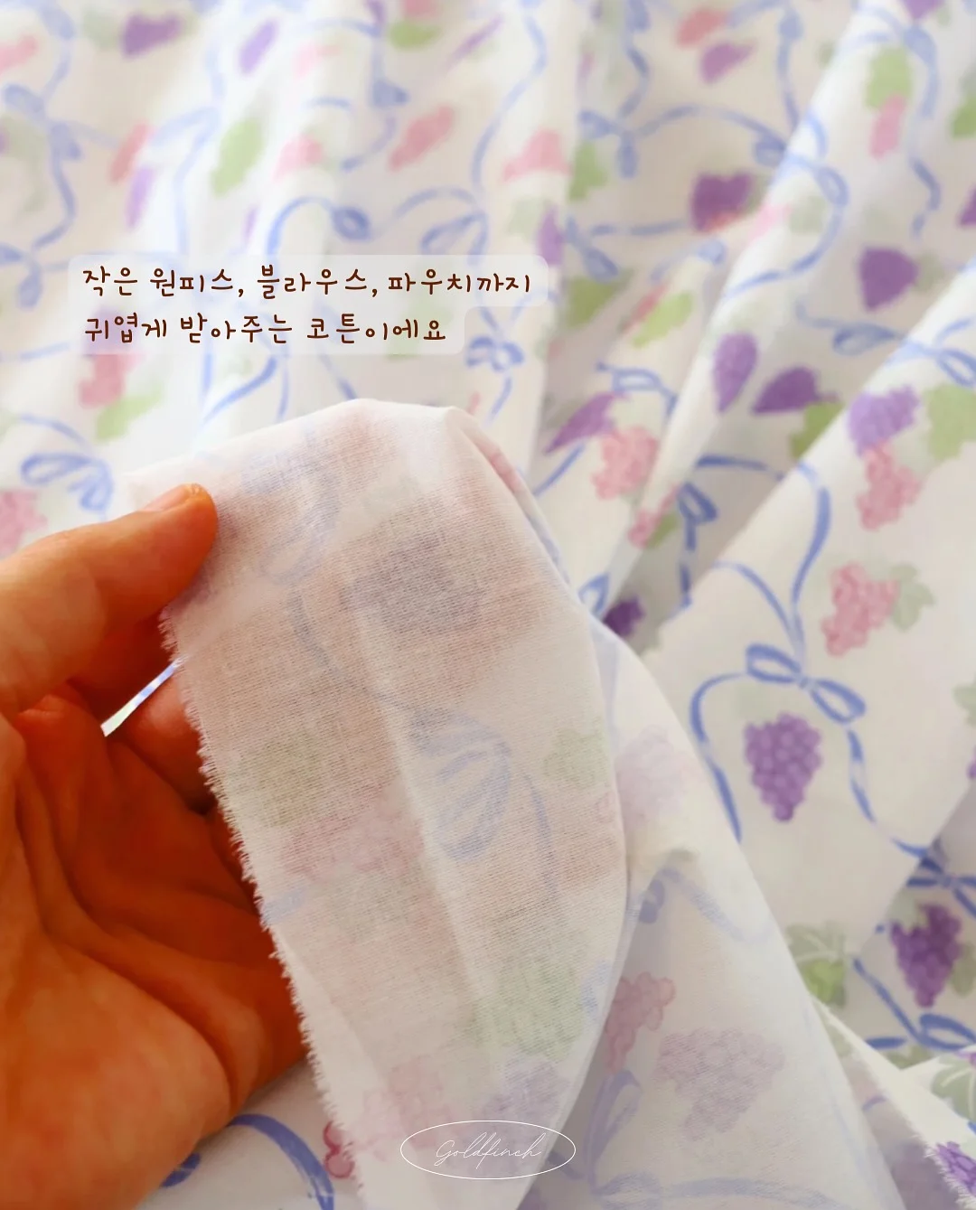 해달씨 전제품 더블 기획 세트 5