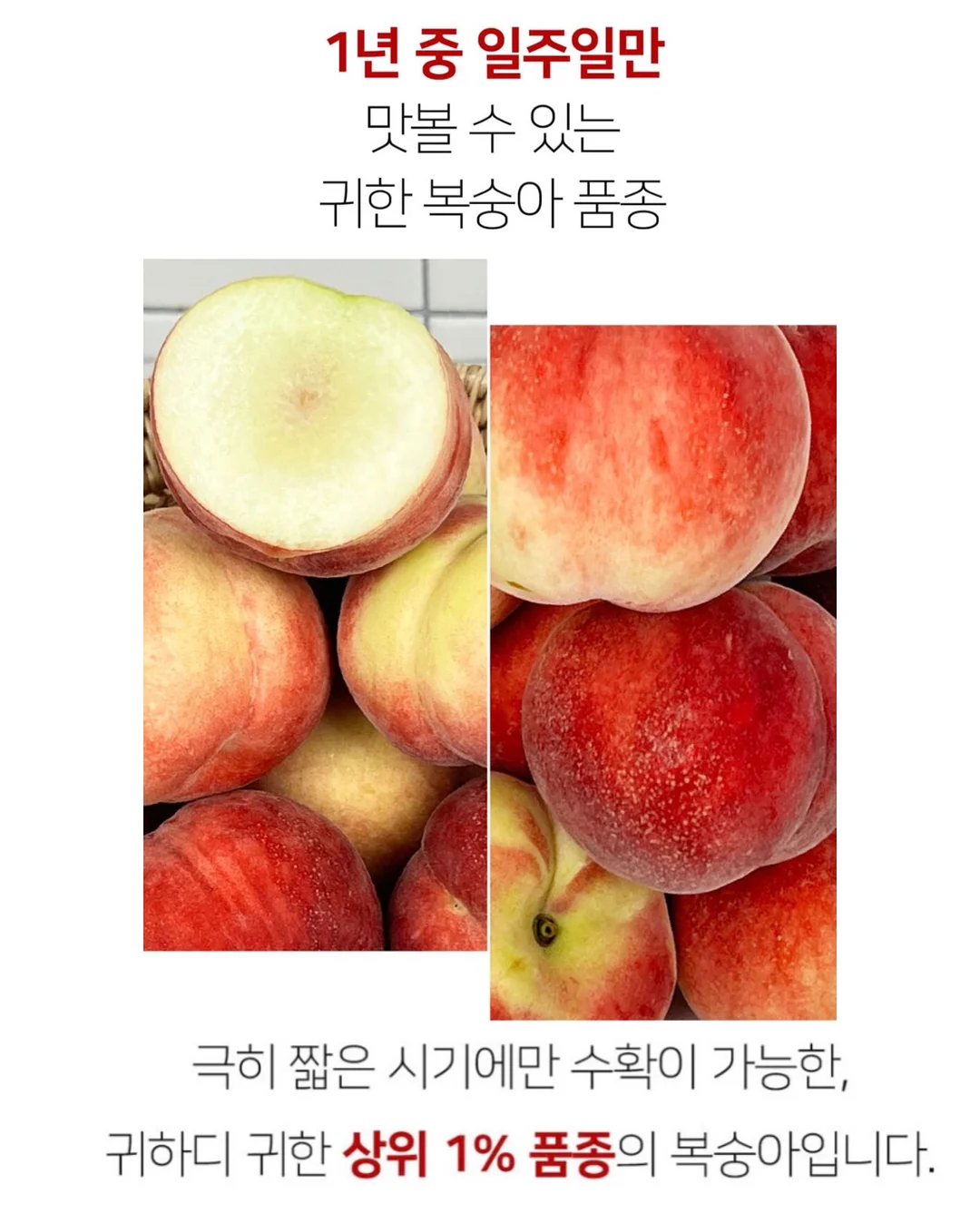 36평 풀옵션 3룸 2