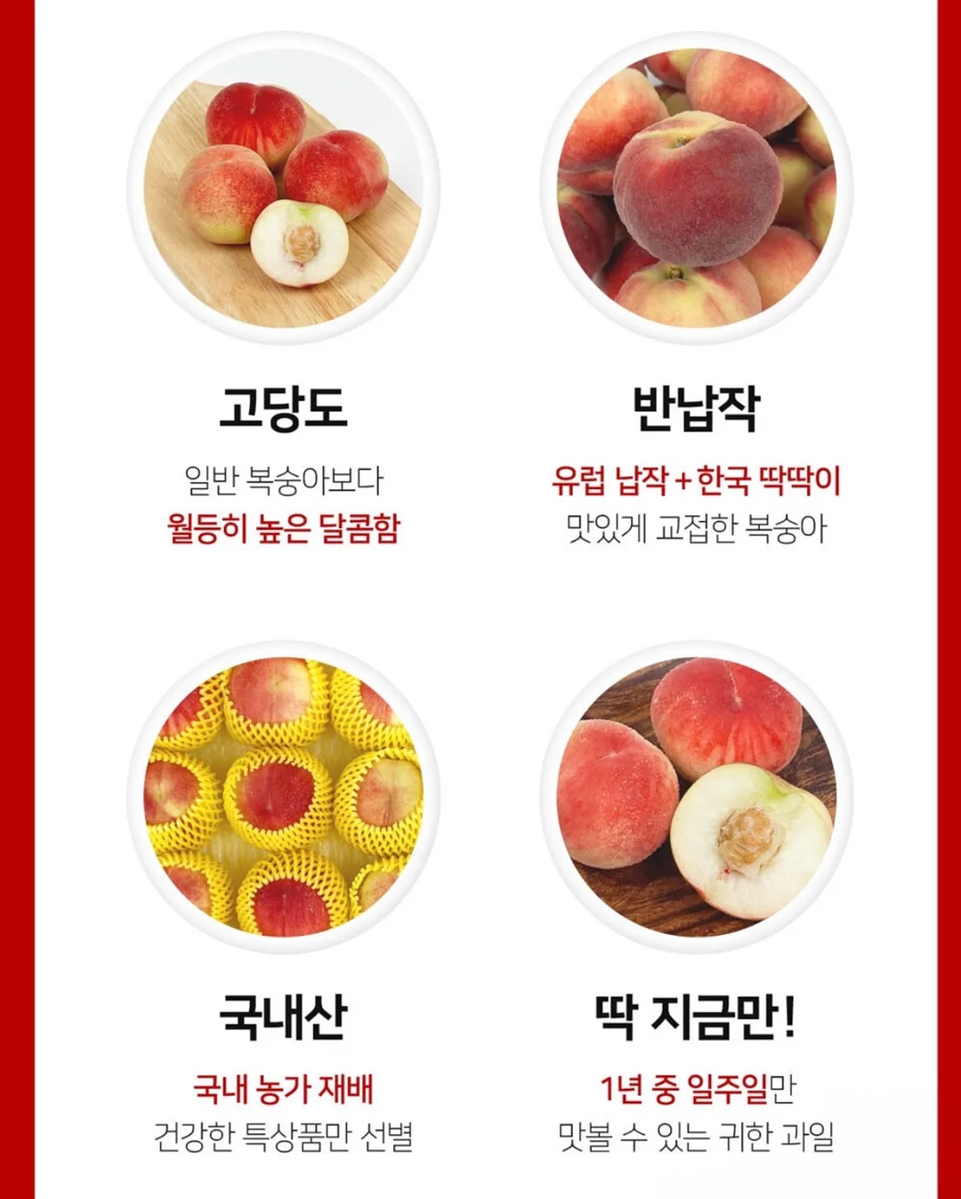36평 풀옵션 3룸 4