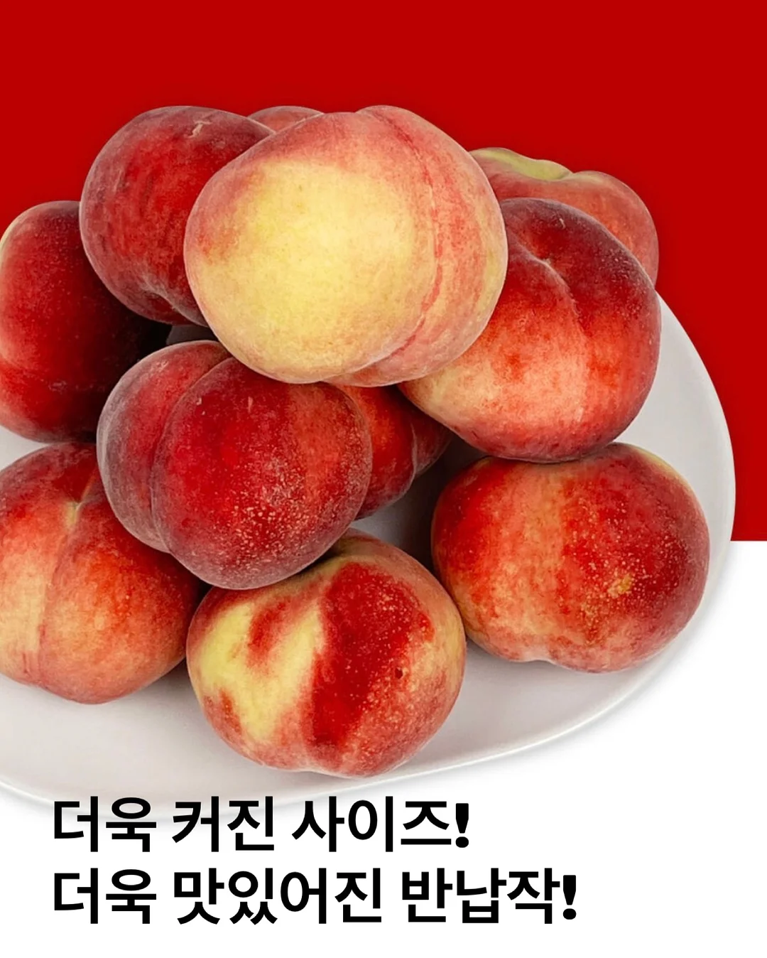 36평 풀옵션 3룸 5