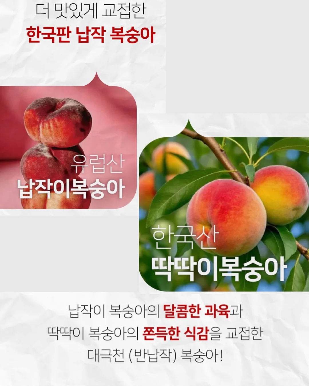 36평 풀옵션 3룸 6
