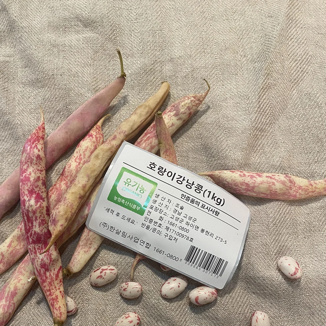 미피 프롬프트 7