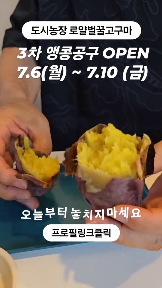 플로하 제품