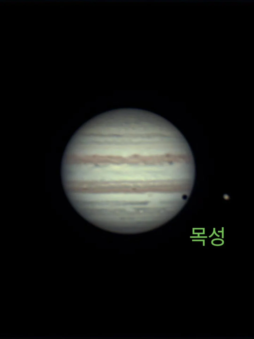 접이식 도마 4