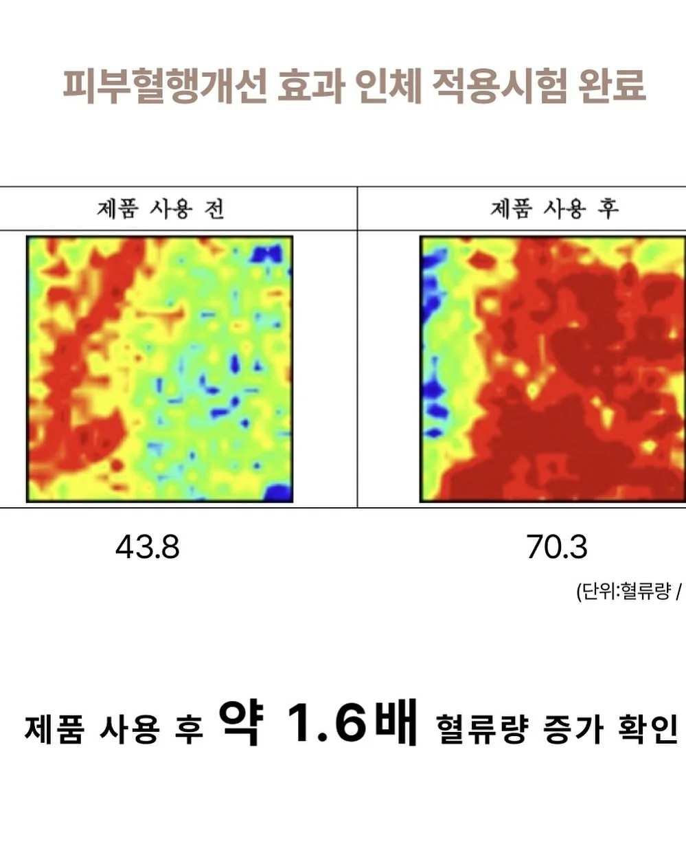 파파이스 감다살 소스 8