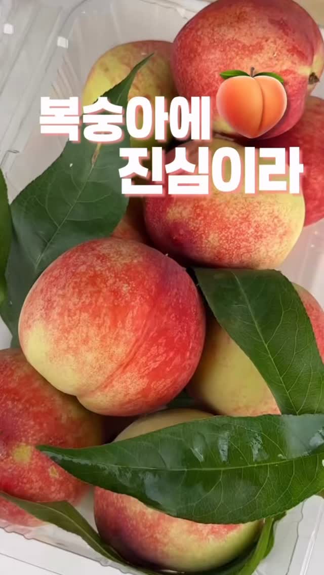 응급세트