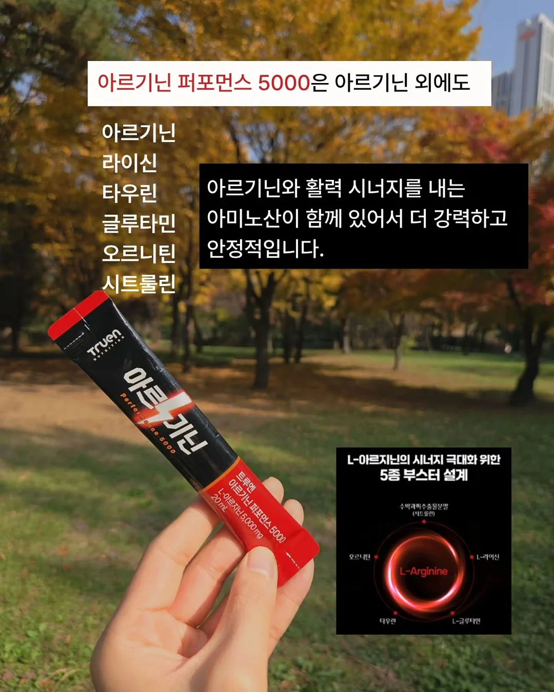 모찌 티셔츠 3