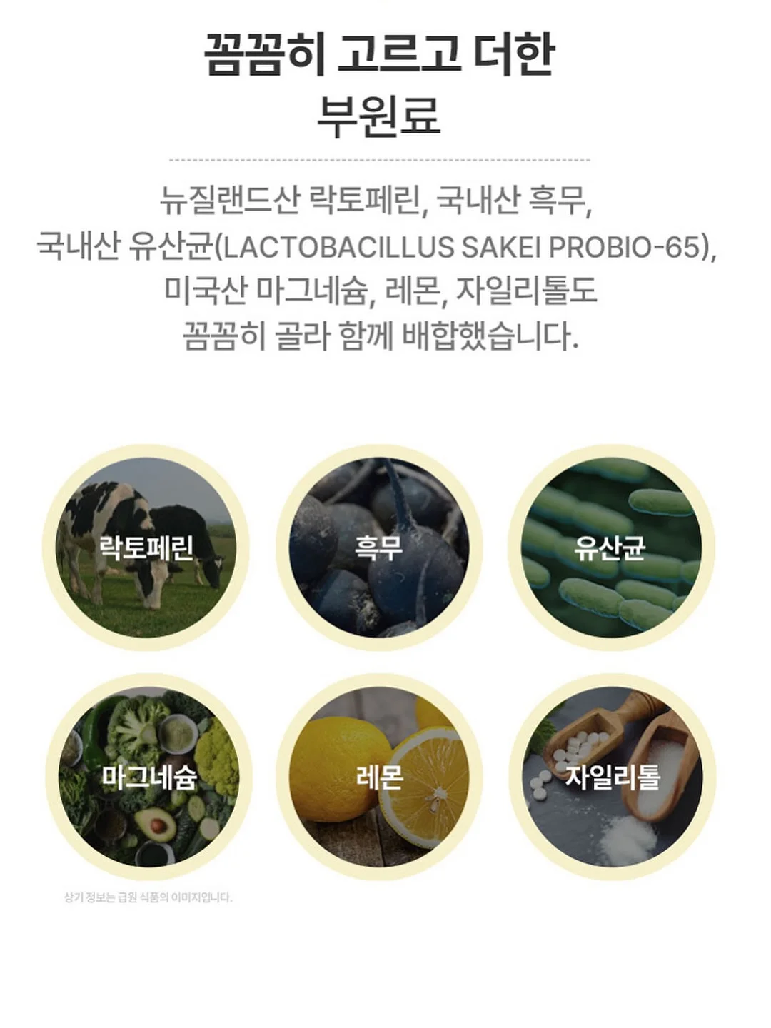 MORLEY 2066SS 컬렉션 드레스 11