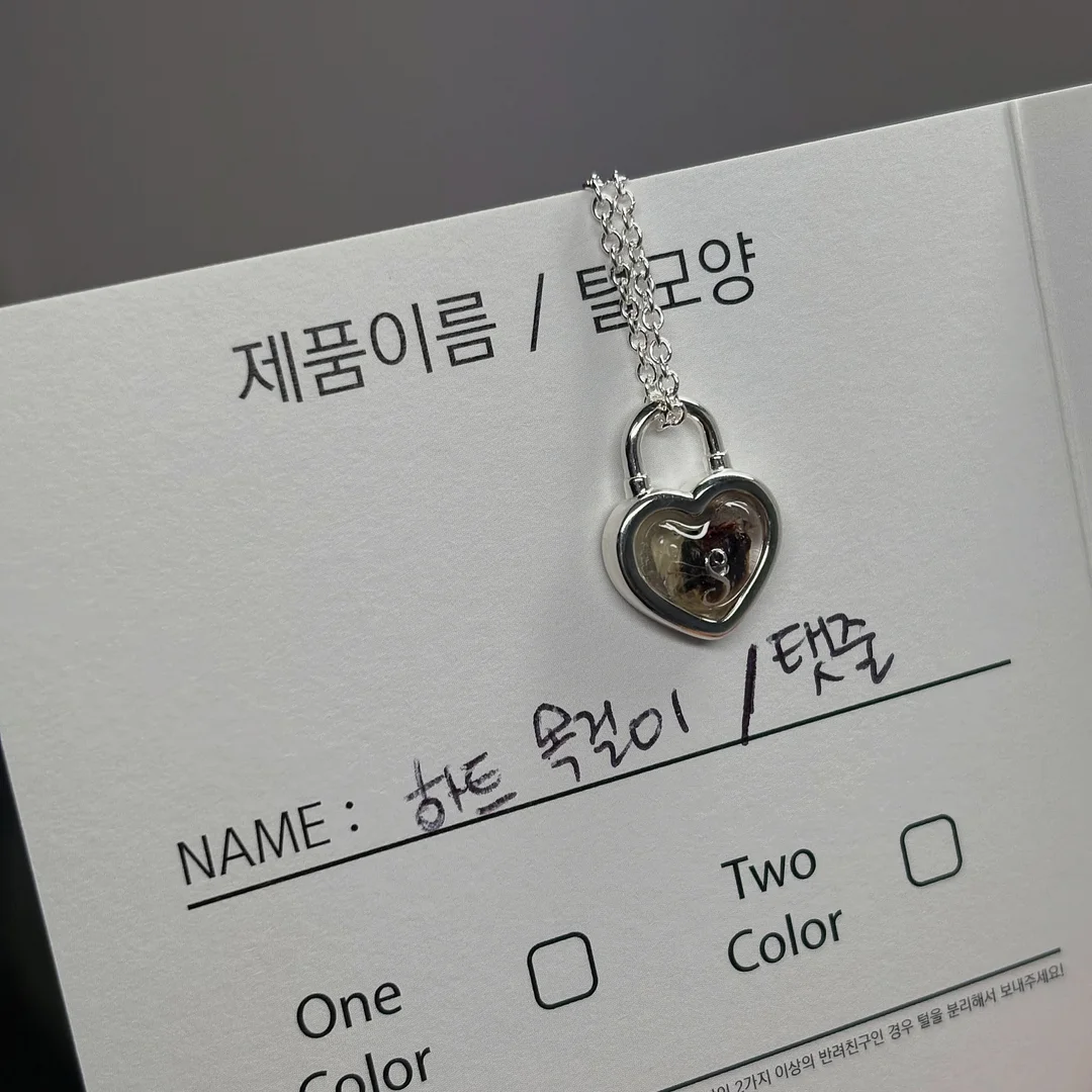 몬치치 6