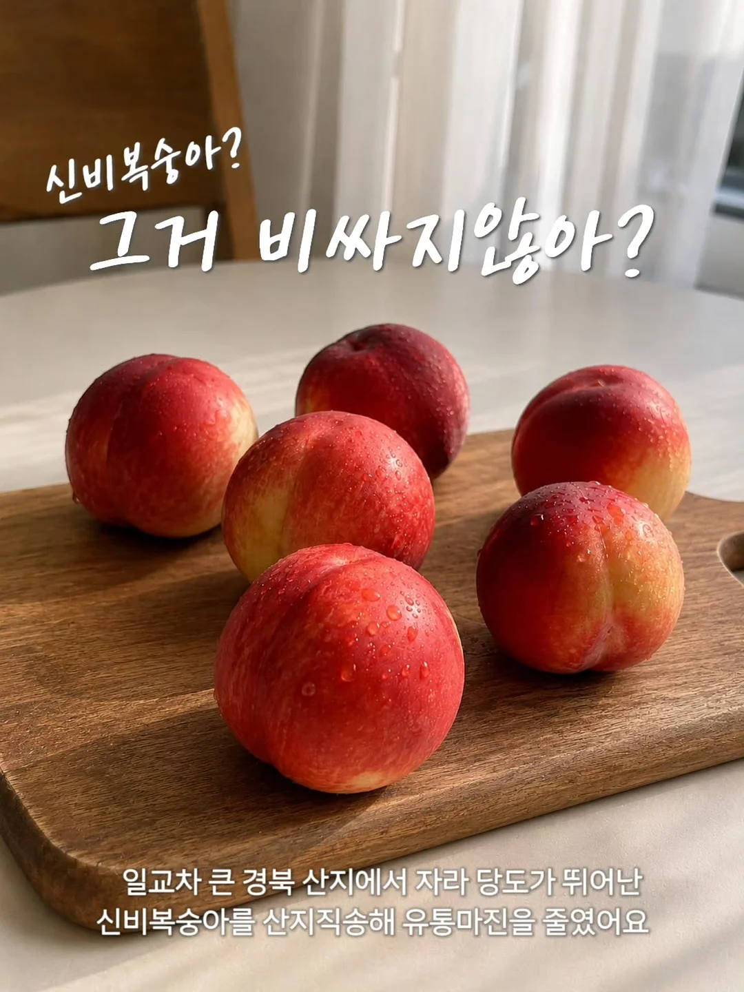 90년대 미니멀리즘 의류 12