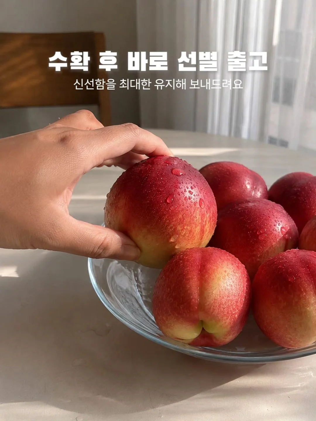 90년대 미니멀리즘 의류 13