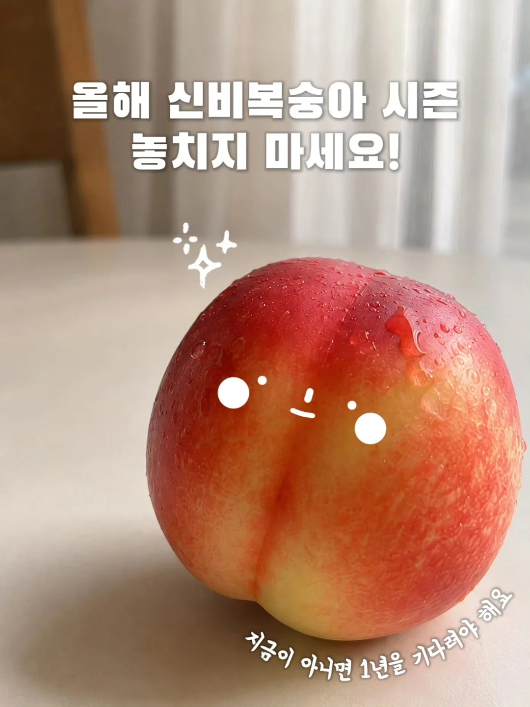 90년대 미니멀리즘 의류 15