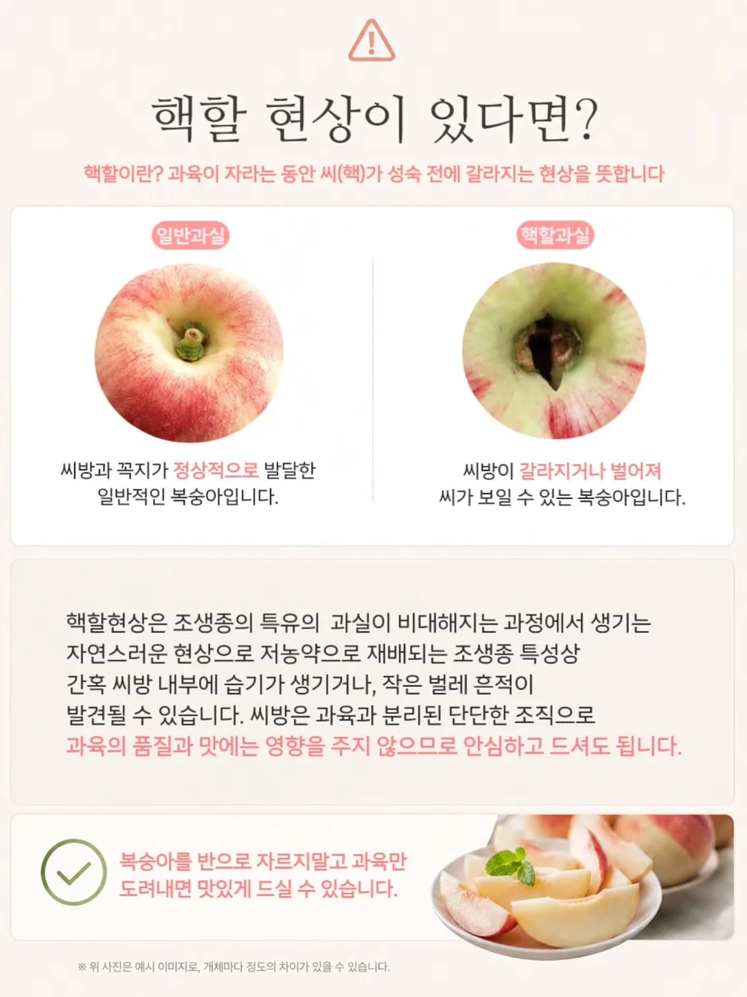 90년대 미니멀리즘 의류 16