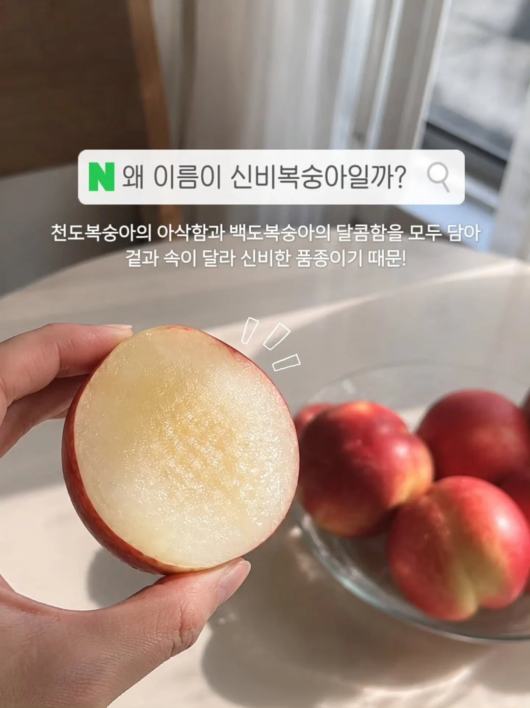 90년대 미니멀리즘 의류 2