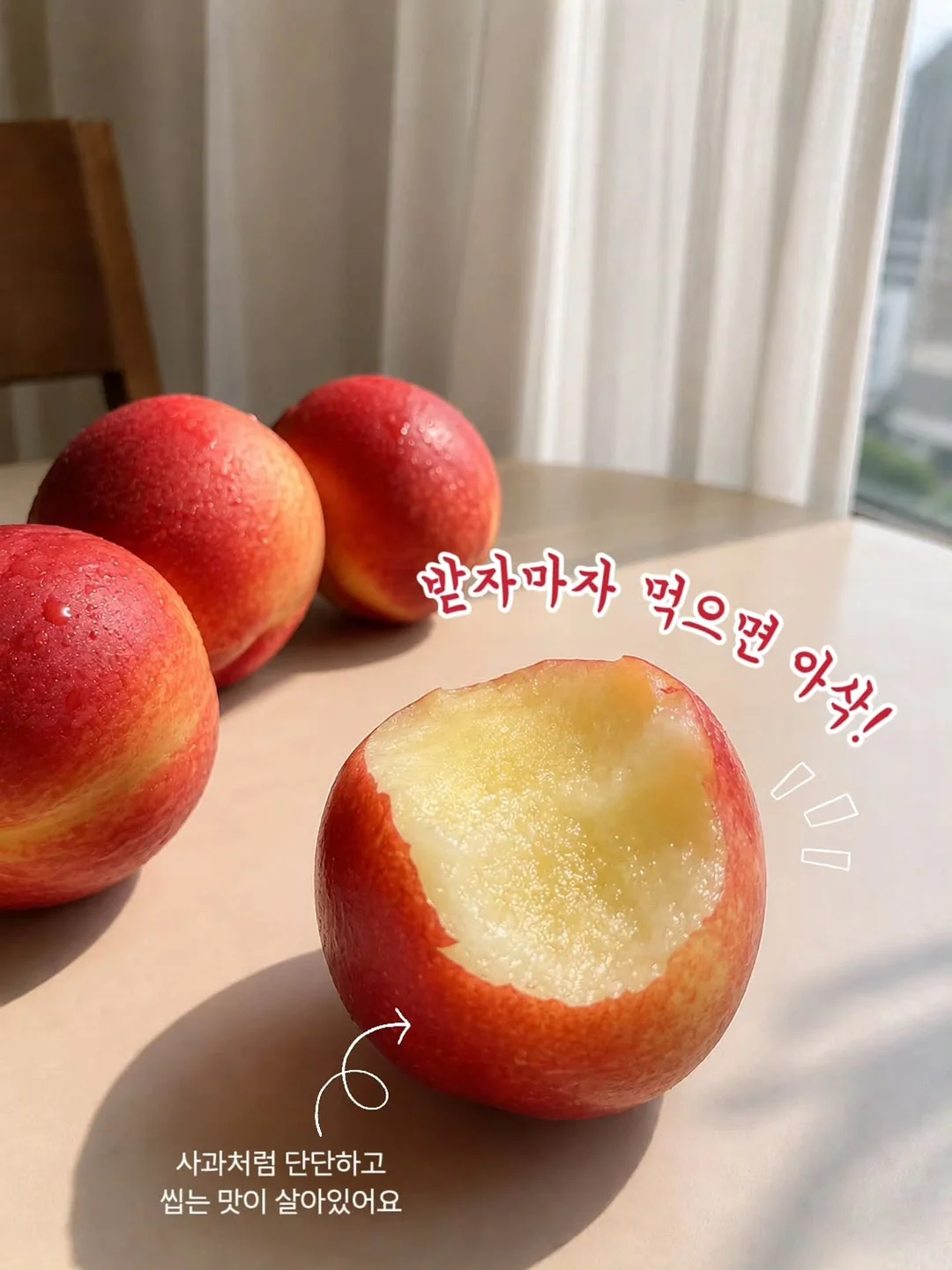 90년대 미니멀리즘 의류 6