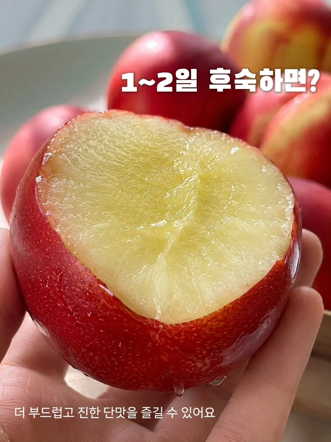90년대 미니멀리즘 의류 8