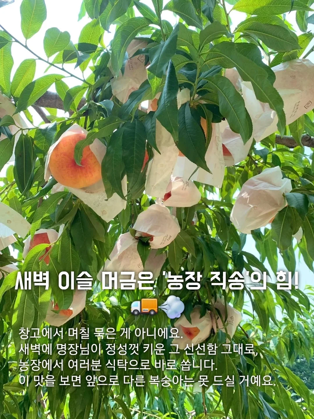베개 밑 스피커 3