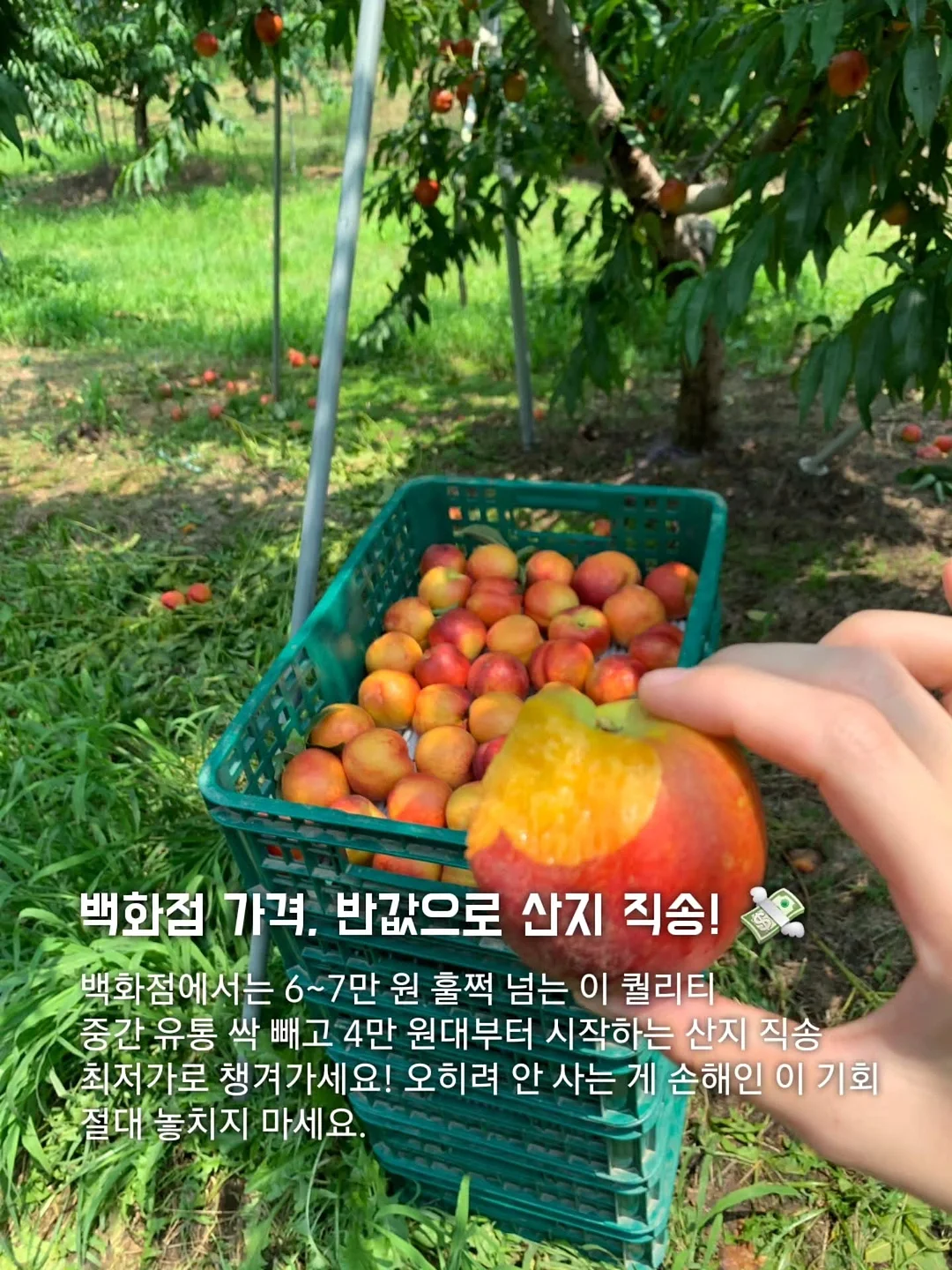 베개 밑 스피커 8
