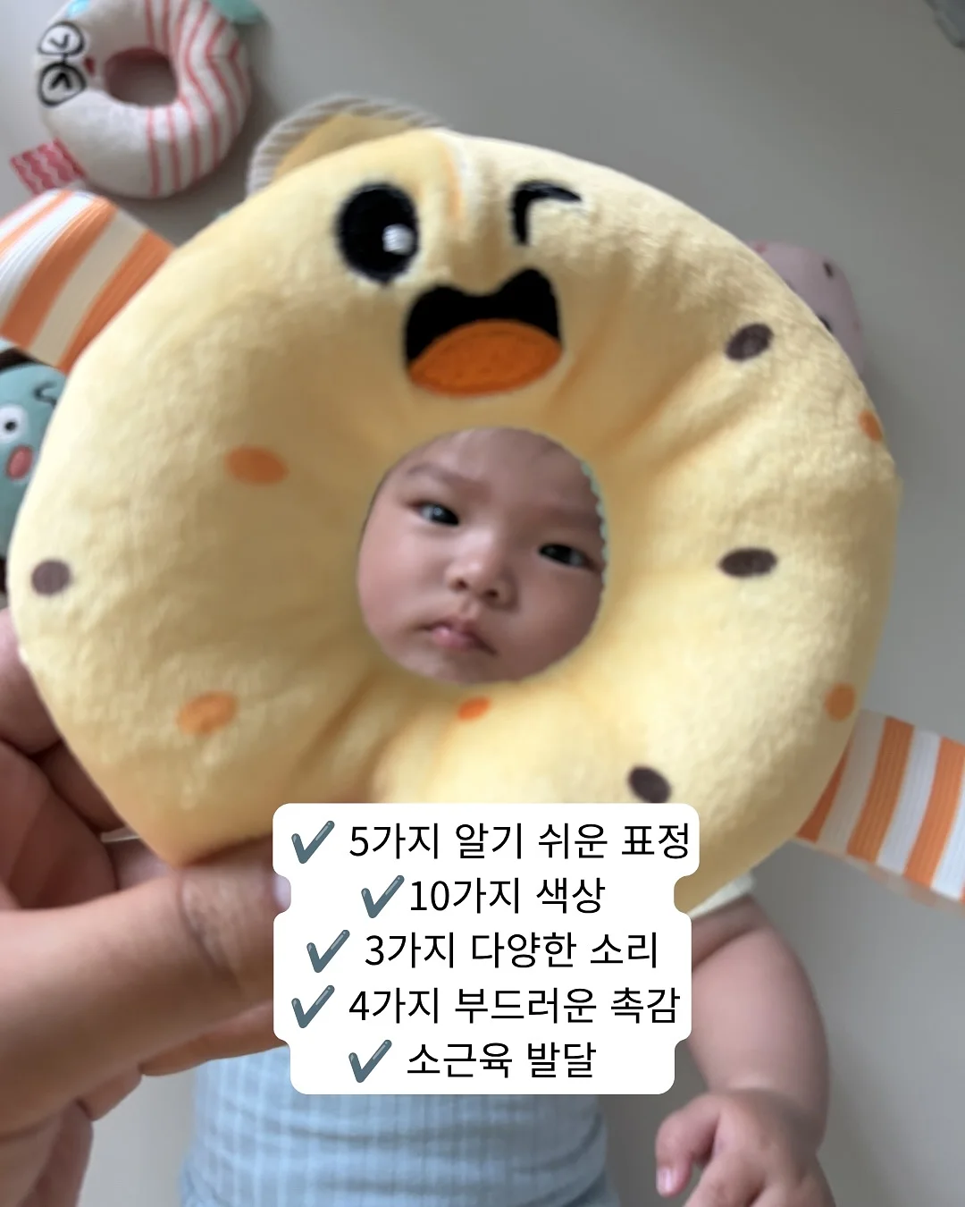 디올 한정판 10