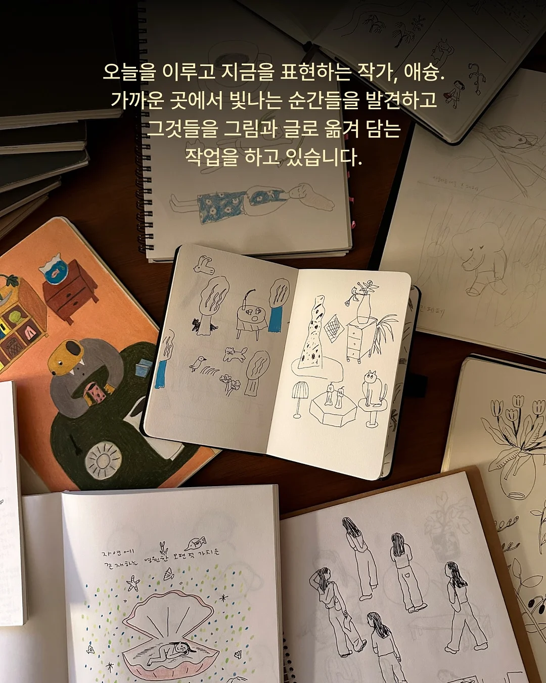 마나 슈파토 장우산 2