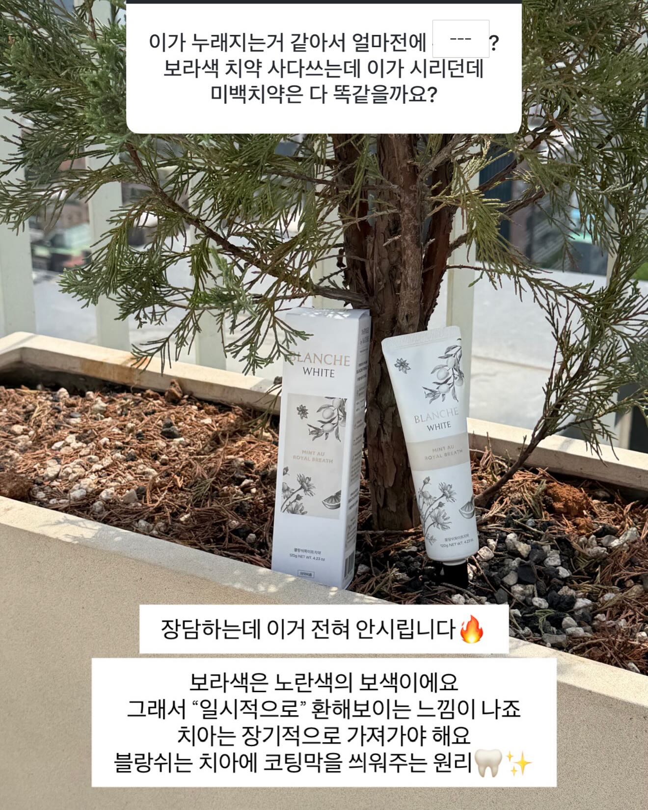 블라우스+니트 일체형 6