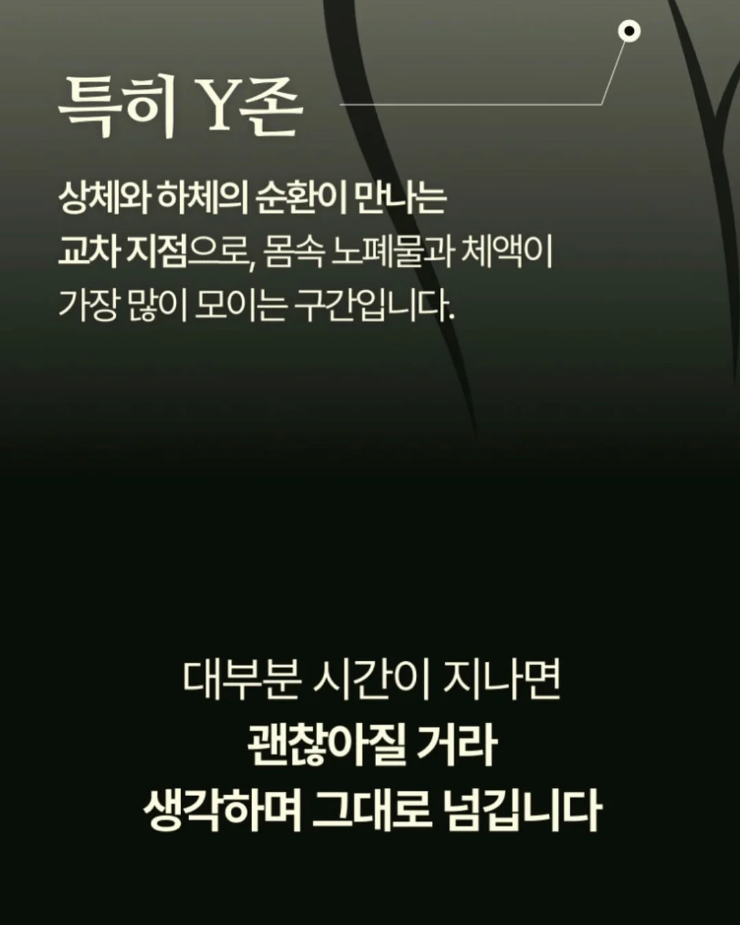 체크셔링스커트 14
