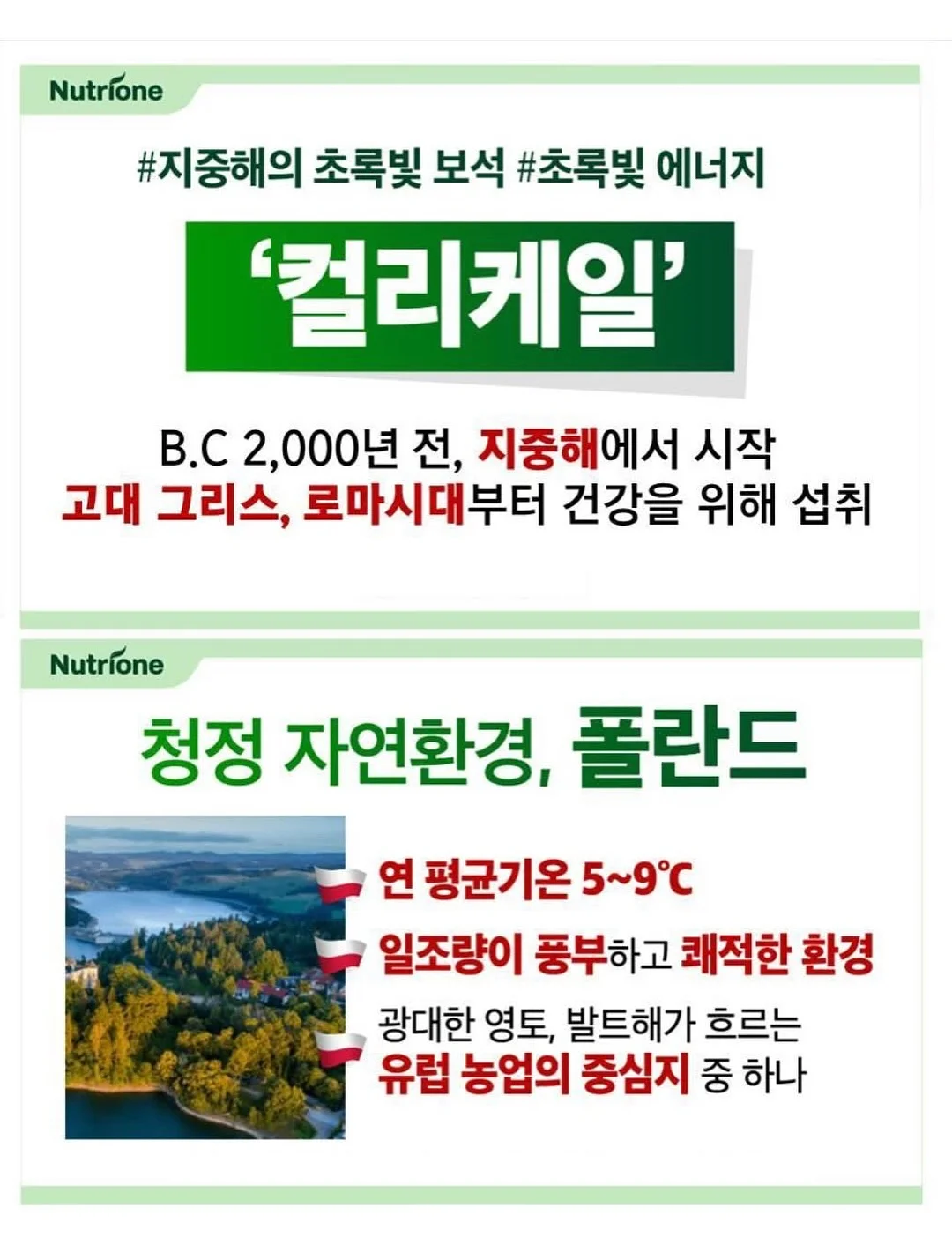 테이블 식탁 매트 14