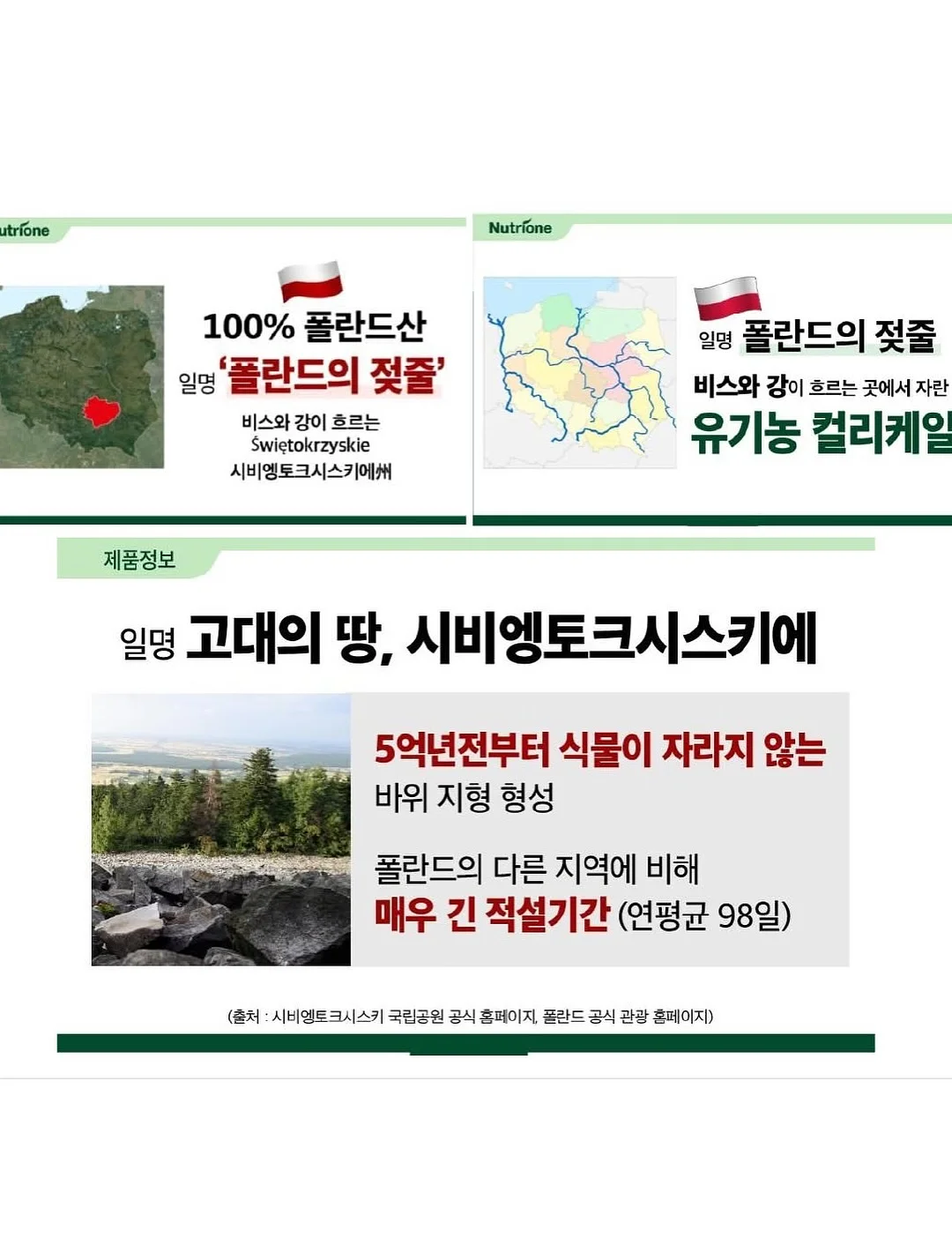 테이블 식탁 매트 15