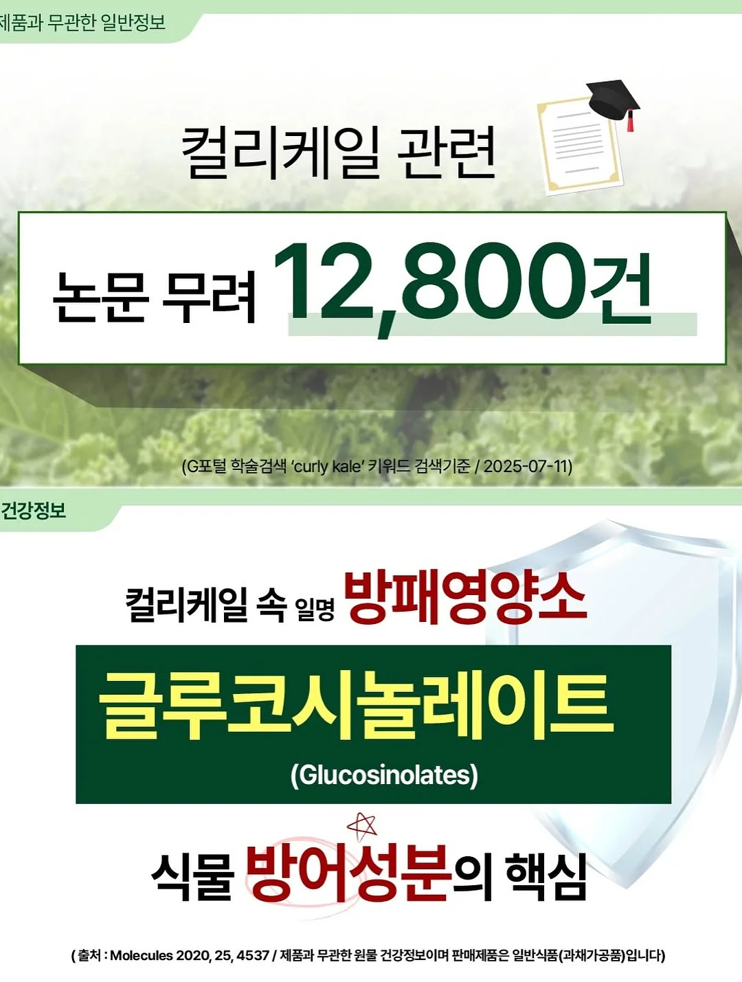 테이블 식탁 매트 17