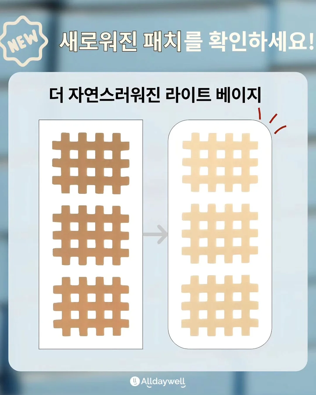 펭귄 계란 삶기 홀더 4