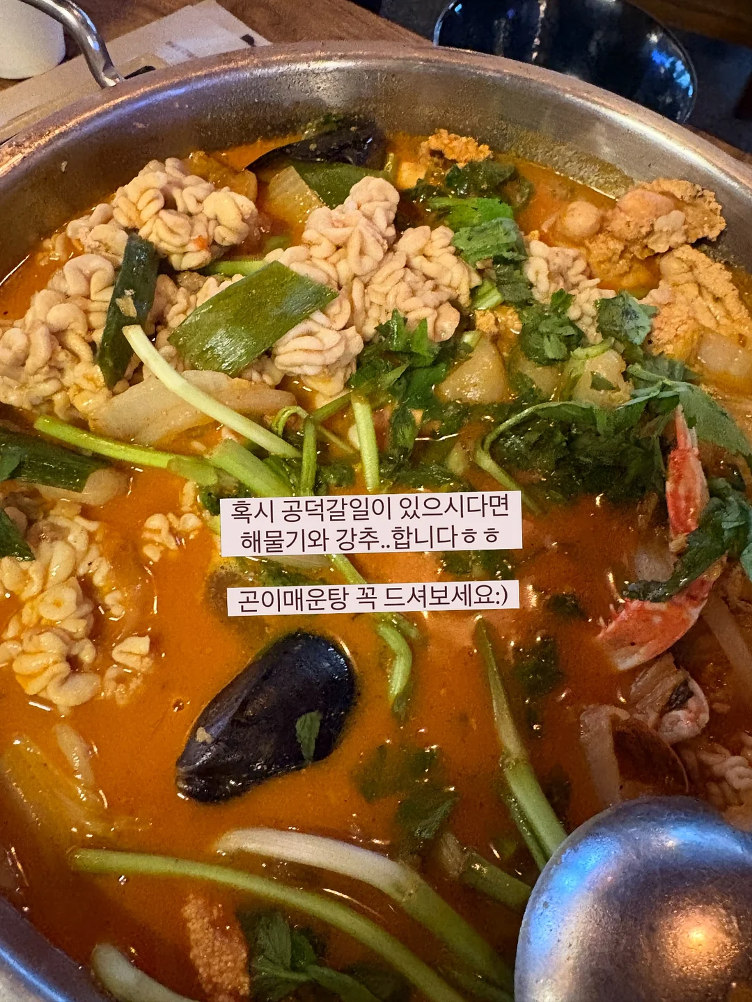 플리츠 10