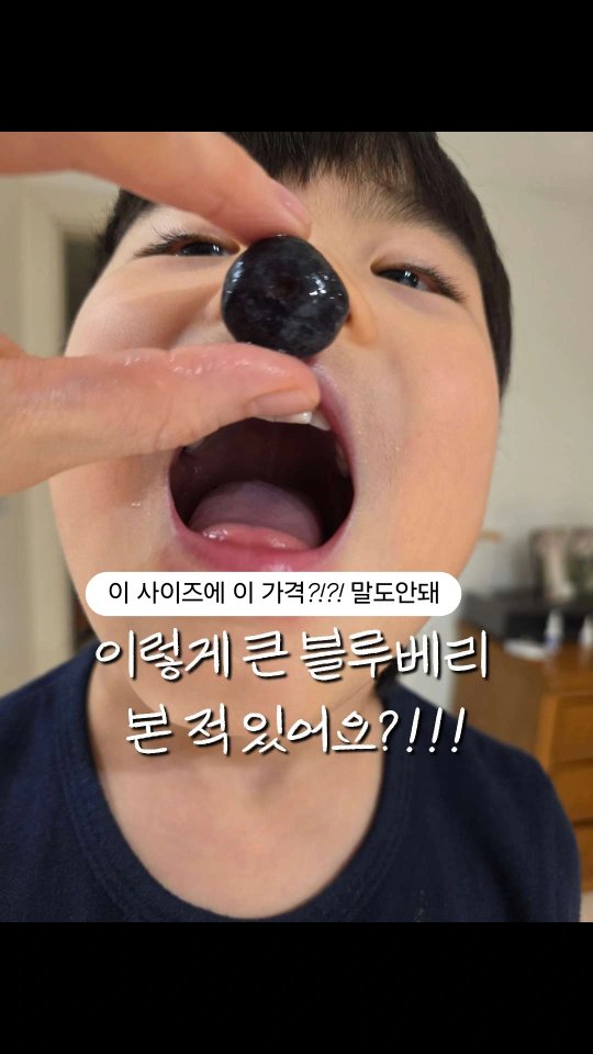 갓김치 4kg