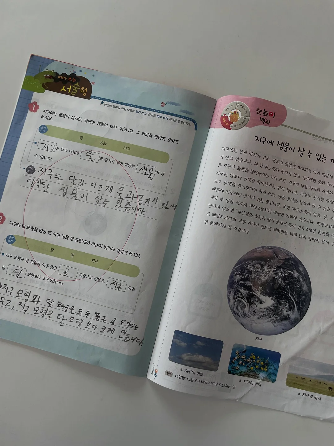 원피스 14