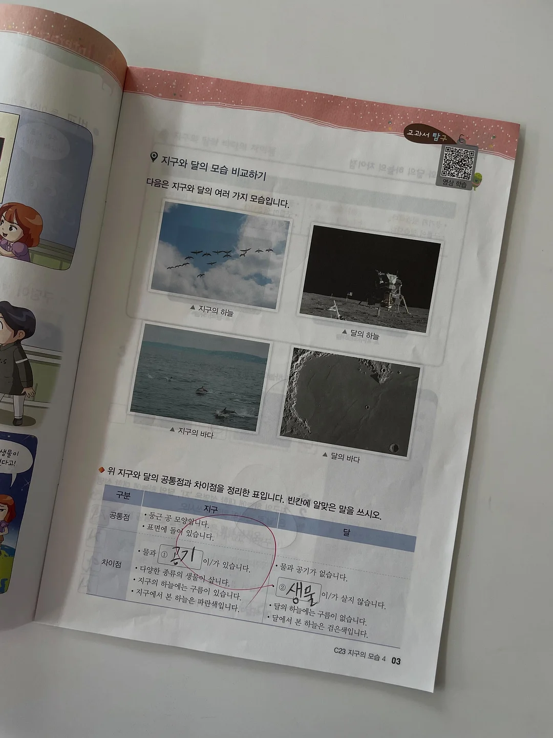 원피스 5