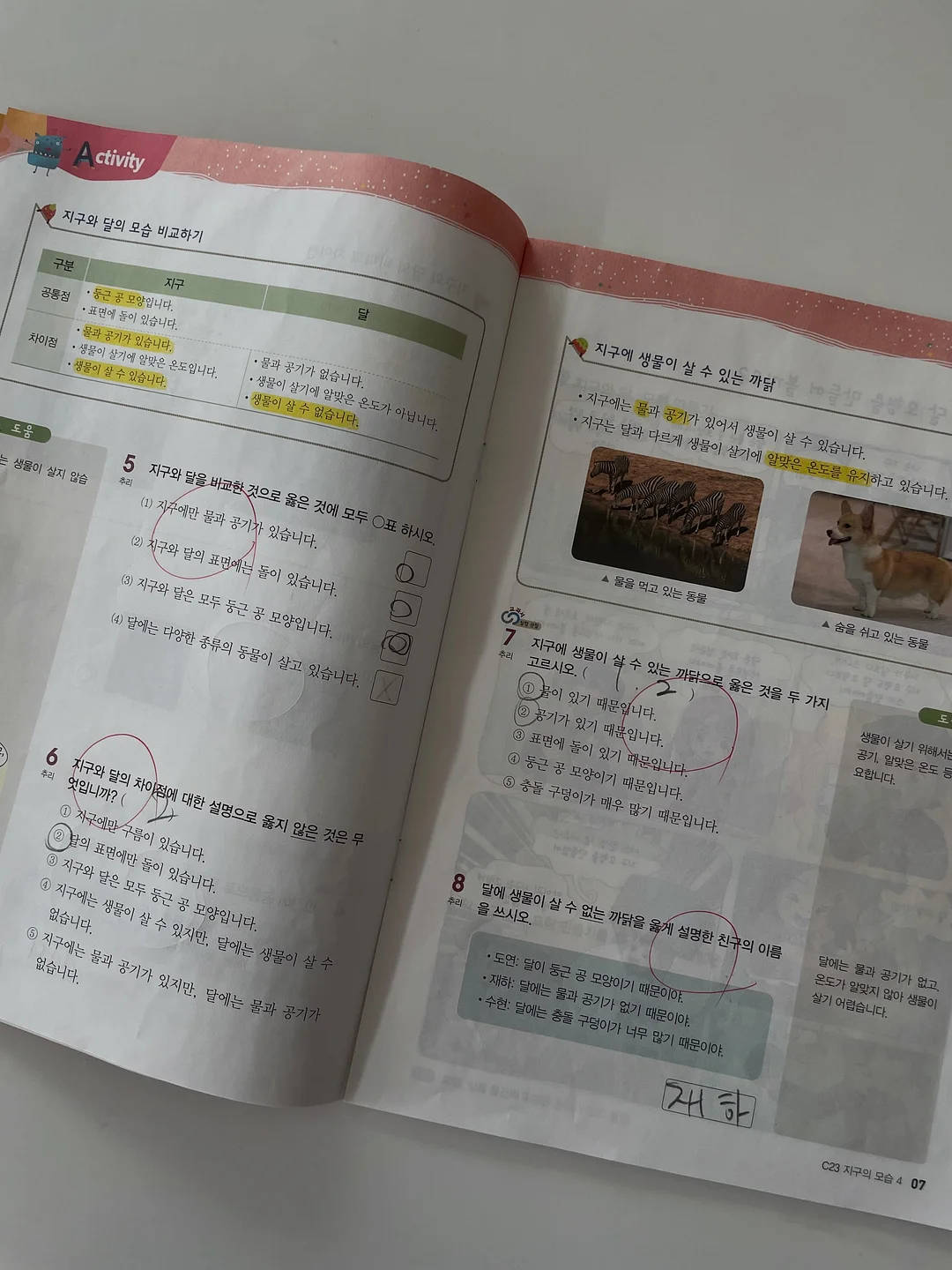 원피스 9