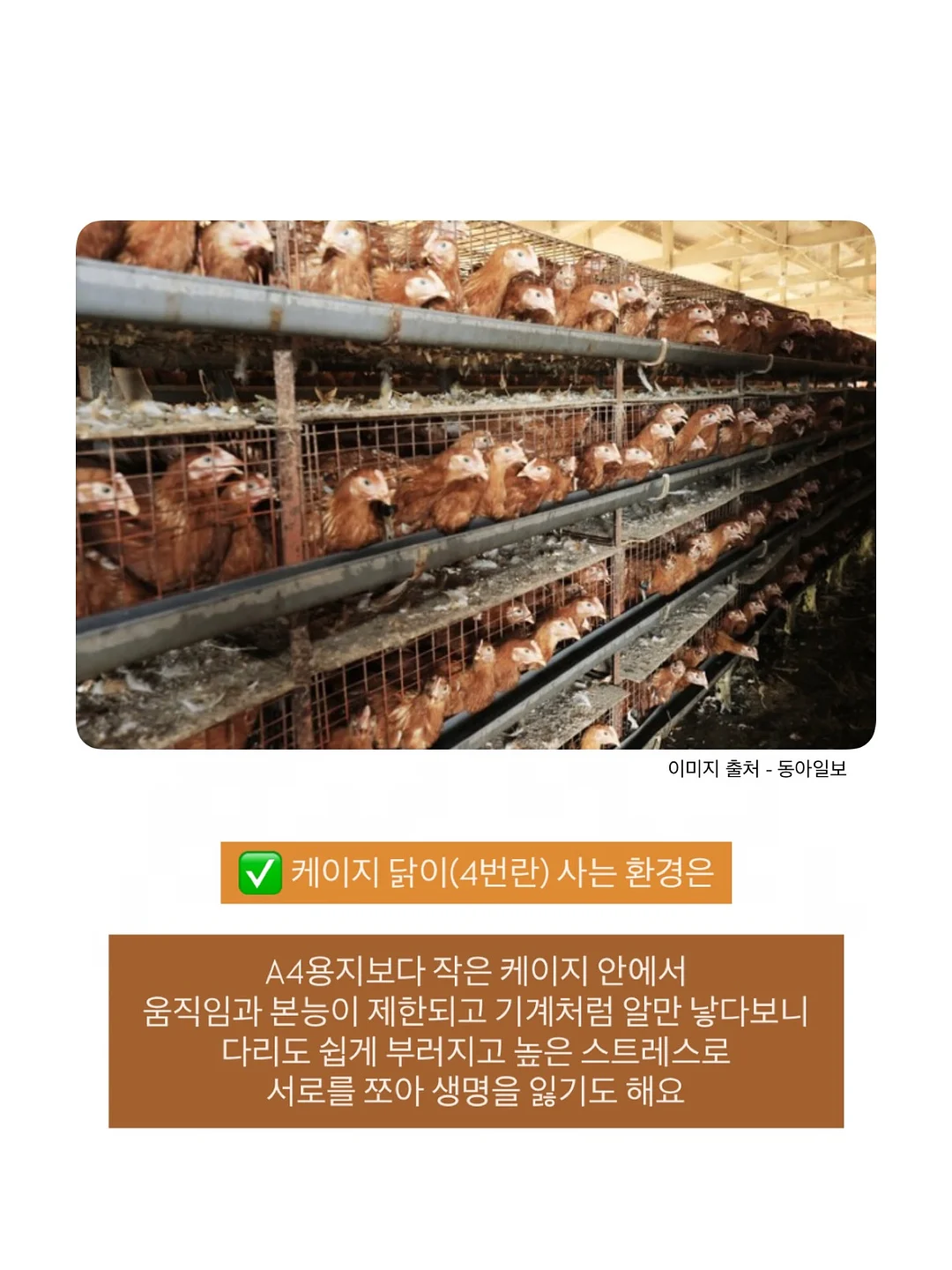 김밥 7