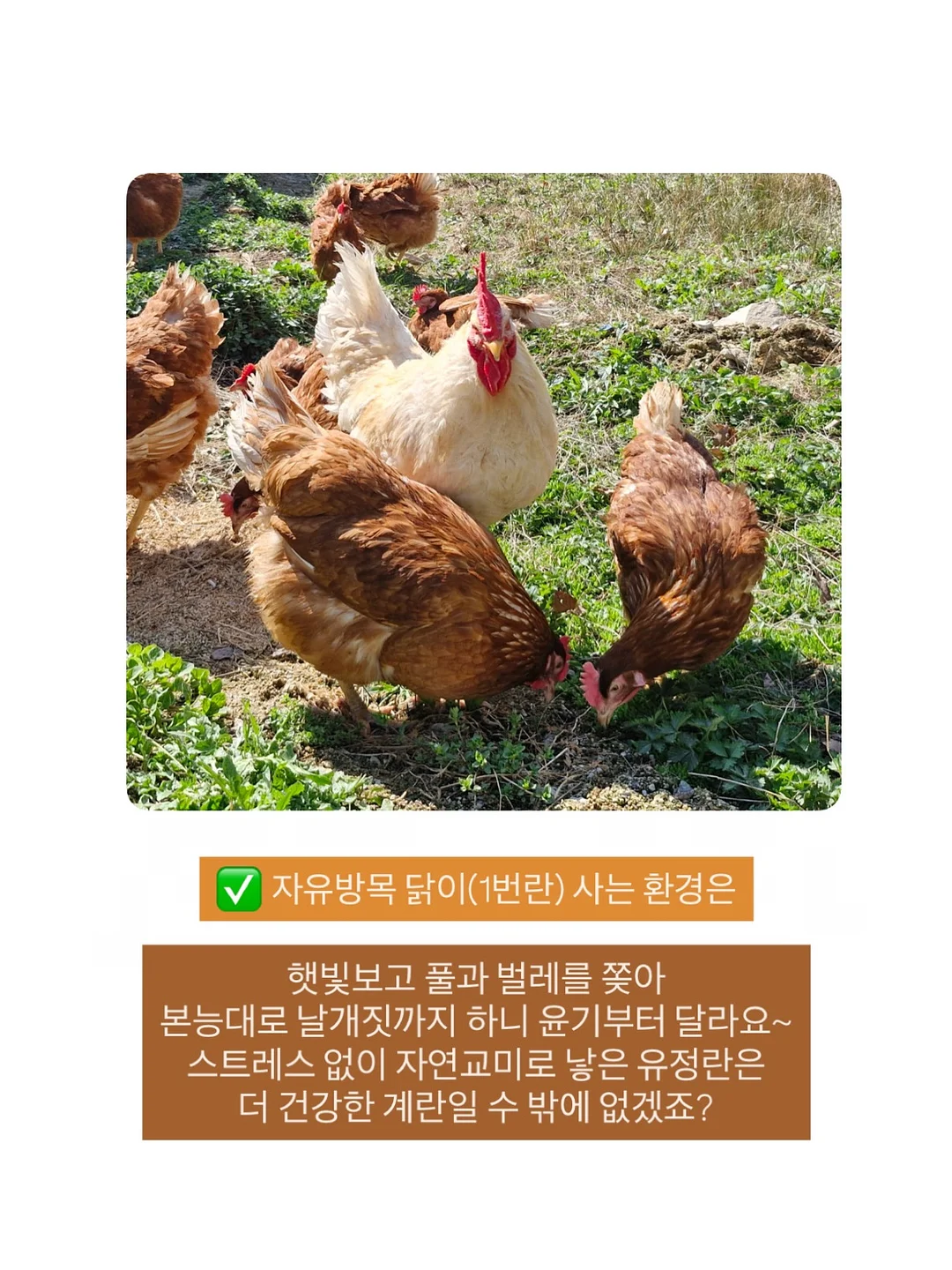 김밥 8