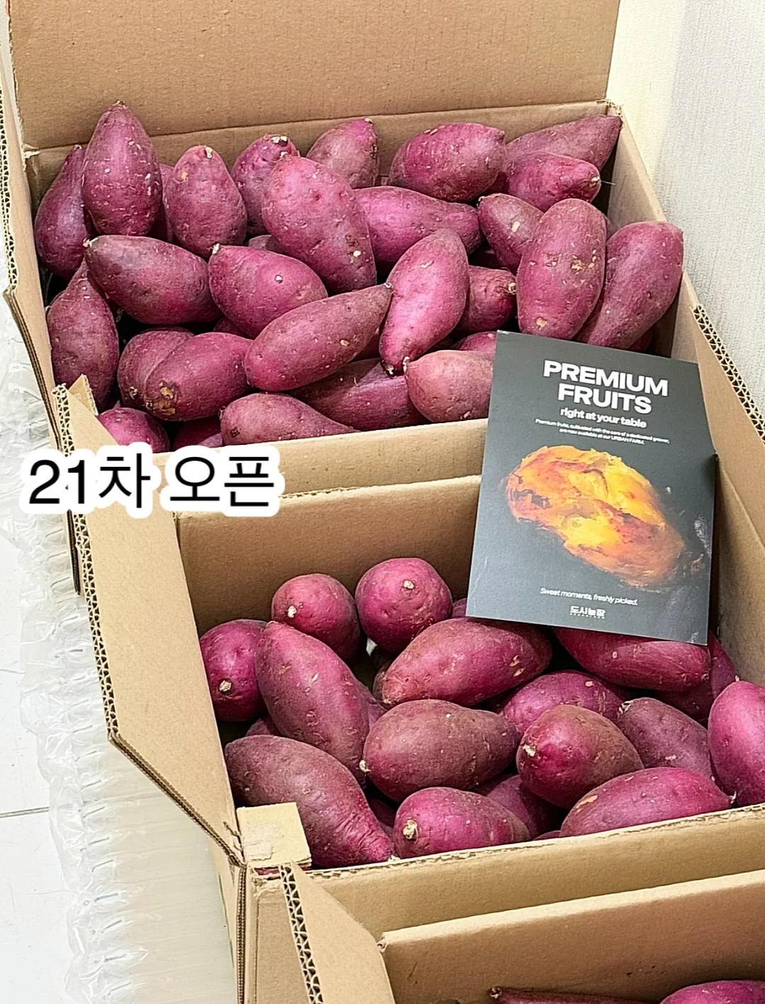 키즈트리 범고래선생님 수업 1