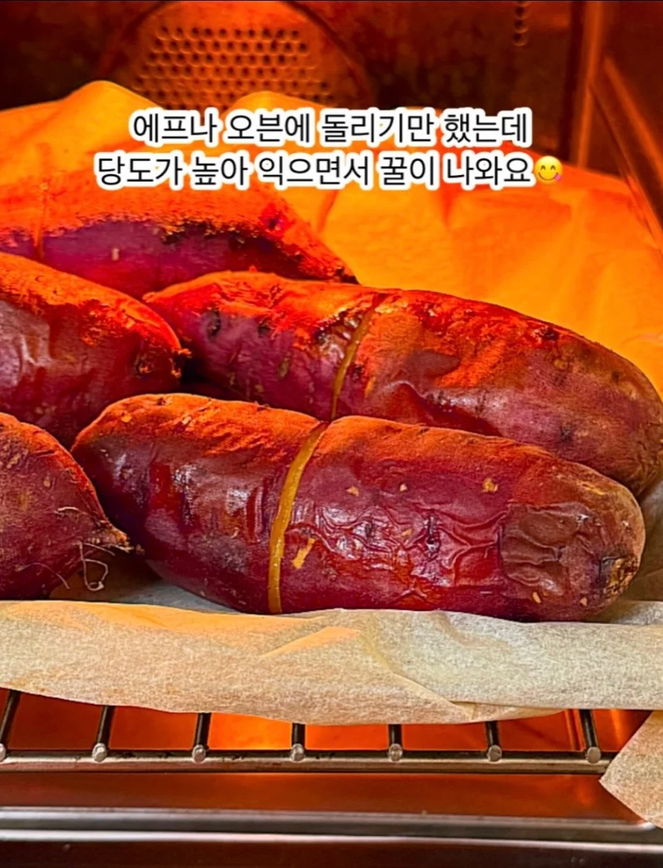 키즈트리 범고래선생님 수업 11