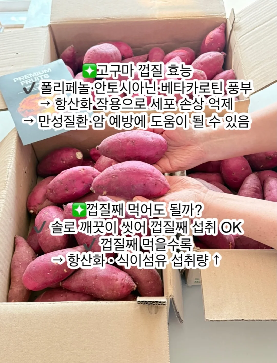 키즈트리 범고래선생님 수업 4