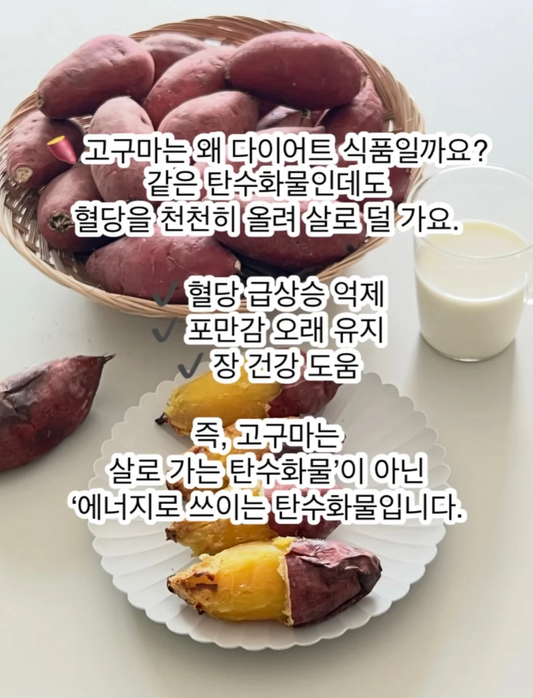 키즈트리 범고래선생님 수업 6