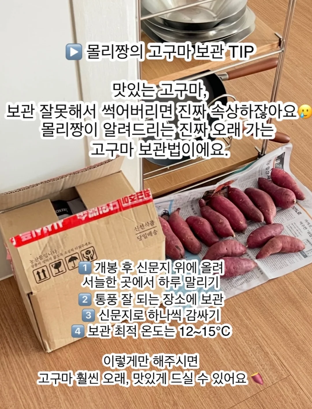 키즈트리 범고래선생님 수업 7